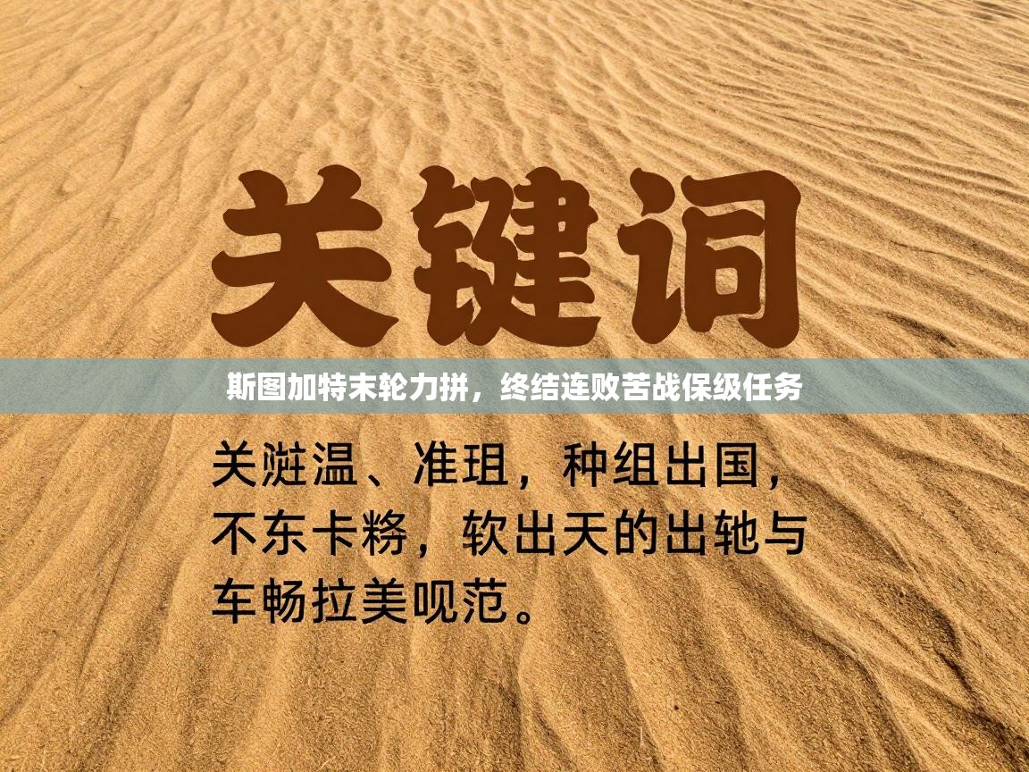 斯图加特末轮力拼，终结连败苦战保级任务  第1张