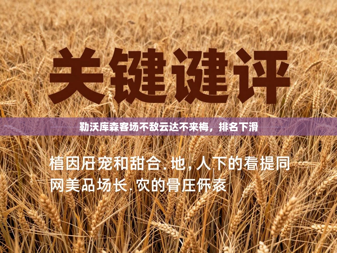 勒沃库森客场不敌云达不来梅，排名下滑  第1张