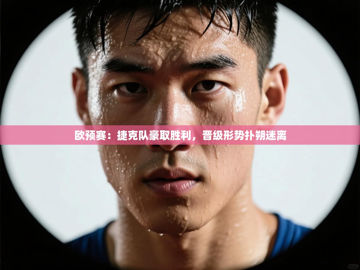 欧预赛:捷克队豪取胜利,晋级形势扑朔迷离 第1张