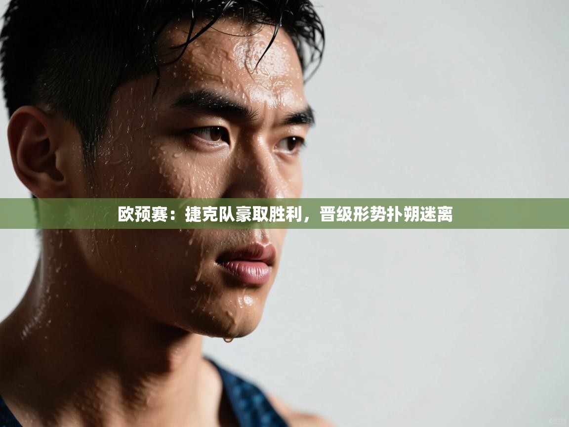 欧预赛:捷克队豪取胜利,晋级形势扑朔迷离 第2张