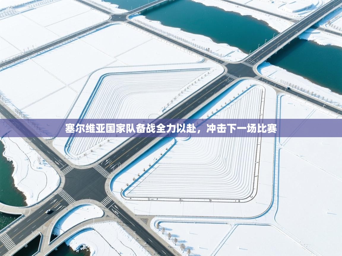 塞尔维亚国家队备战全力以赴,冲击下一场比赛 第1张